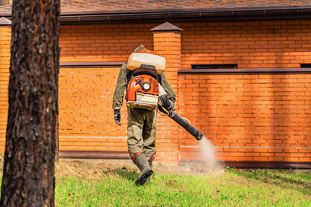 Trusted Rodent Control service in Manhasset, NY - Nex Pest Control